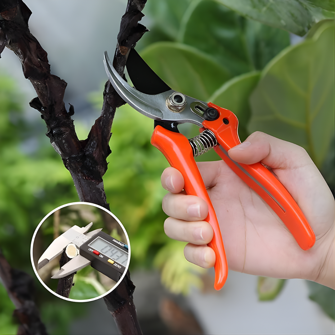 TIJERA PODADORA – Corte preciso, jardinería eficiente y plantas más saludables