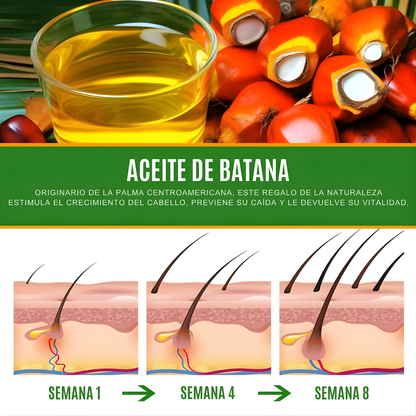 ACEITE DE BATANA – Reparación profunda, crecimiento fortalecido y brillo natural para todo tipo de cabello