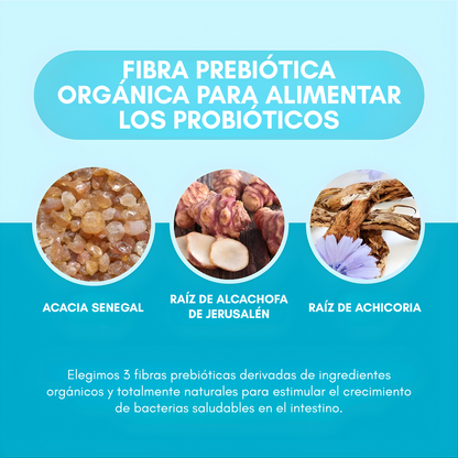60 BILLIONS PROBIOTICS – Equilibrio intestinal, digestión diaria y bienestar desde el interior