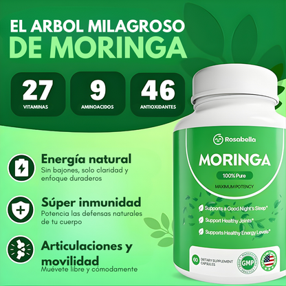 MORINGA – Energía natural, metabolismo activo y bienestar completo desde una sola cápsula