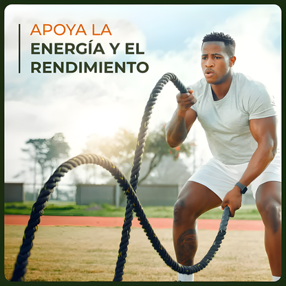 LIVER CLEANSE & DETOX – 70 CÁPSULAS – Depuración natural, energía renovada y apoyo avanzado para tu hígado