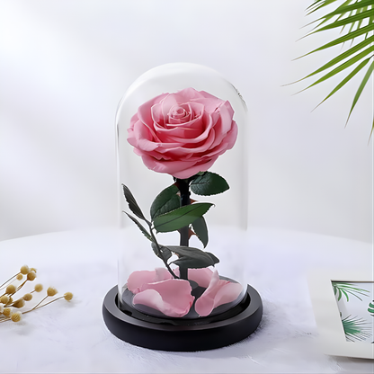 ROSA ARTIFICIAL PRESERVADA – Belleza eterna, detalle perfecto y un regalo que dura para siempre