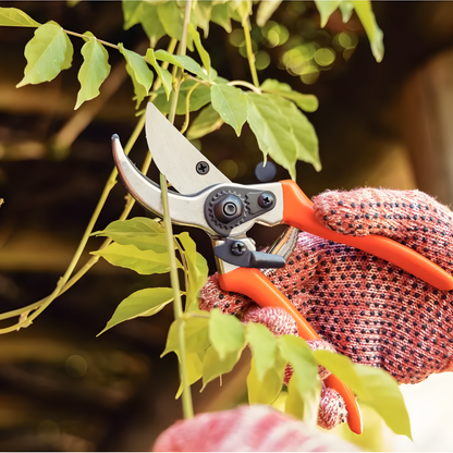 TIJERA PODADORA – Corte preciso, jardinería eficiente y plantas más saludables
