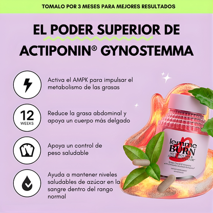 LEMME BURN – Apoya tu metabolismo, quema grasa abdominal y favorece una composición corporal saludable