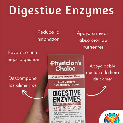 ENZIMAS DIGESTIVAS PLIS – Digestión eficiente, confort diario y apoyo intestinal desde el interior